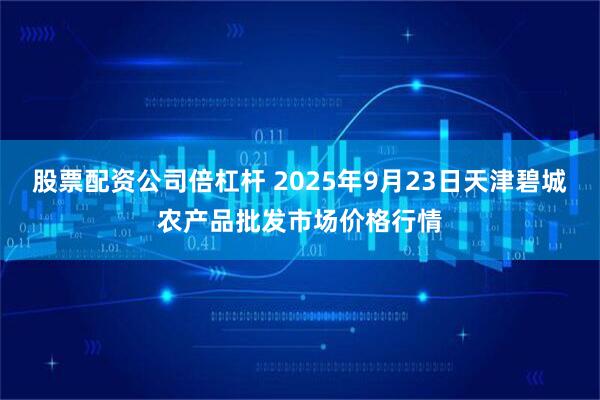 股票配资公司倍杠杆 2025年9月23日天津碧城农产品批发市场价格行情
