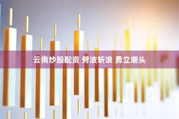 云南炒股配资 劈波斩浪 勇立潮头