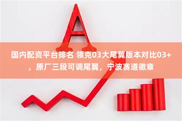 国内配资平台排名 领克03大尾翼版本对比03+，原厂三段可调尾翼，宁波赛道徽章