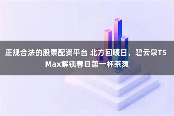 正规合法的股票配资平台 北方回暖日，碧云泉T5 Max解锁春日第一杯茶爽
